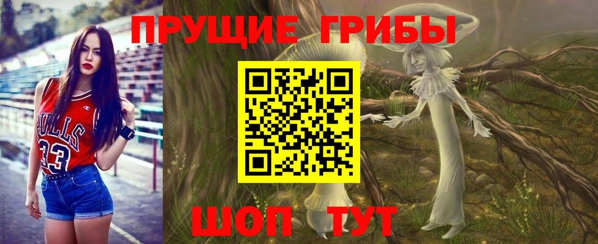 Рубцовск  Псилоцибиновые грибы Psilocybine cubensis  Вход с VPN 