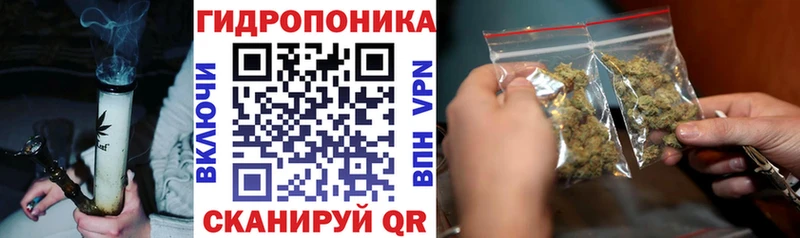 Бошки марихуана конопля  KRAKEN   Рубцовск 